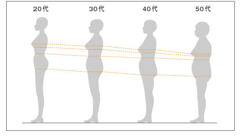 20代・30代・40代・50代のボディライン